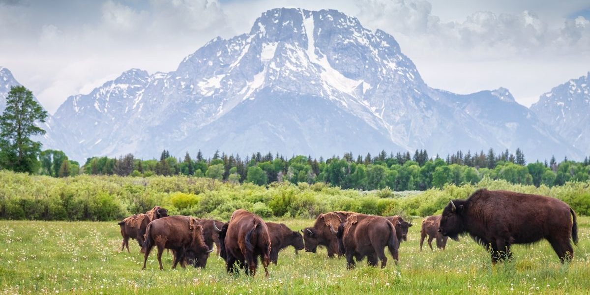 ed1c7626e54db08bb5483dfec4d63829_1920