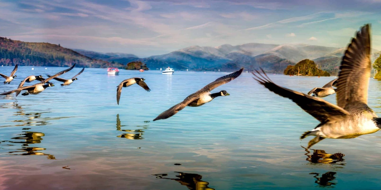 AdobeStock_132867834