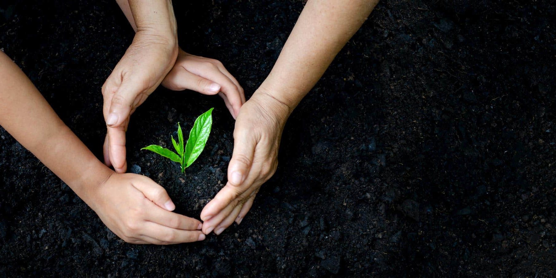 Fentarthatóságaziskola1