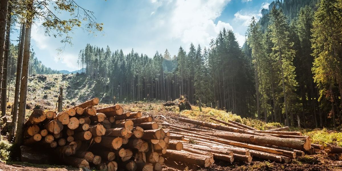 eb3c352b65e24ee259bed8978b71045f_1920