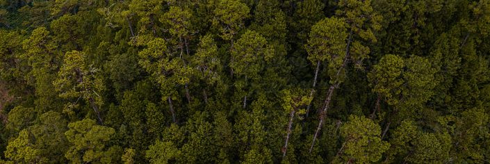 zold-olvasnivalok-head-bg