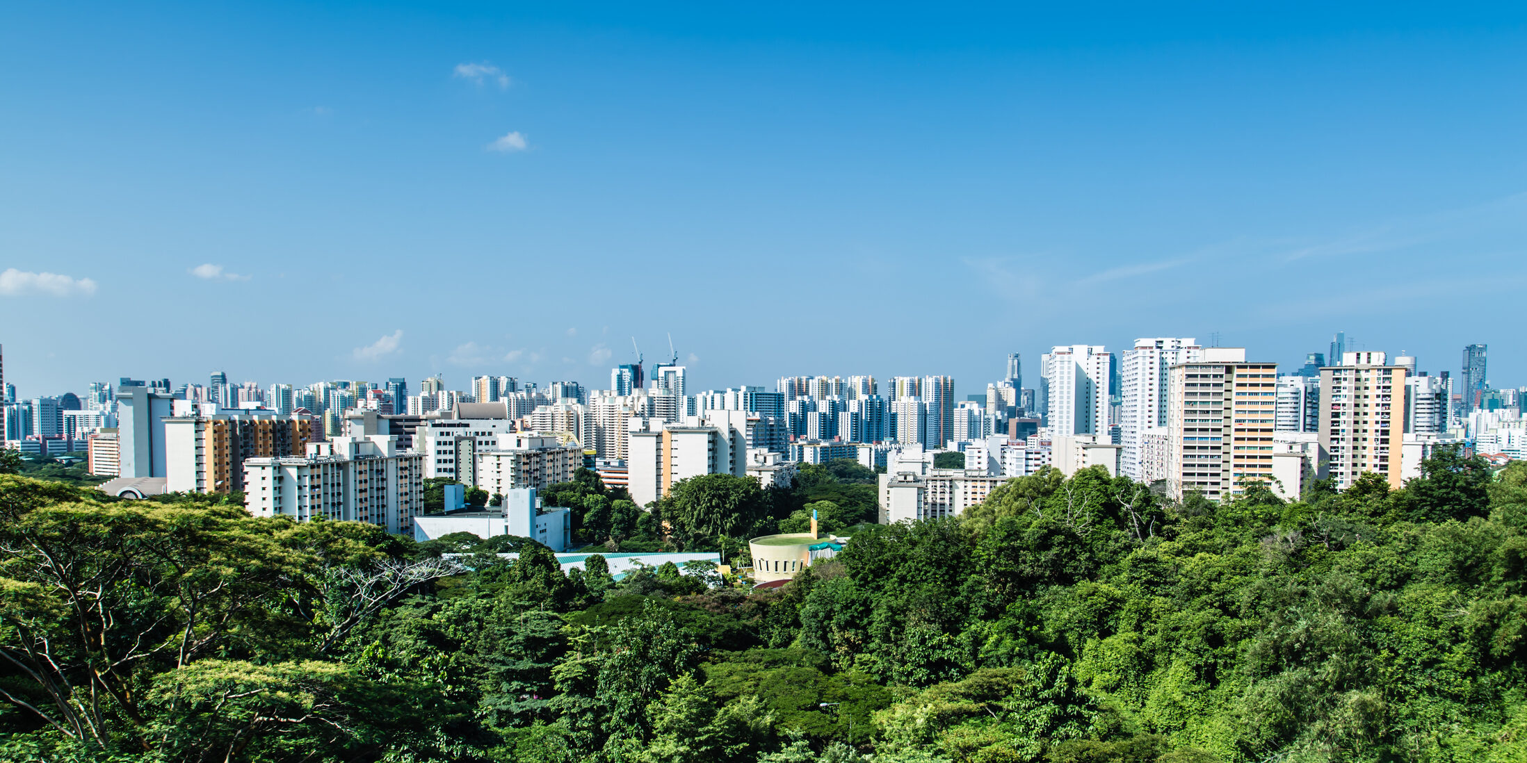 Singapore HDB residential building in green forest skyline