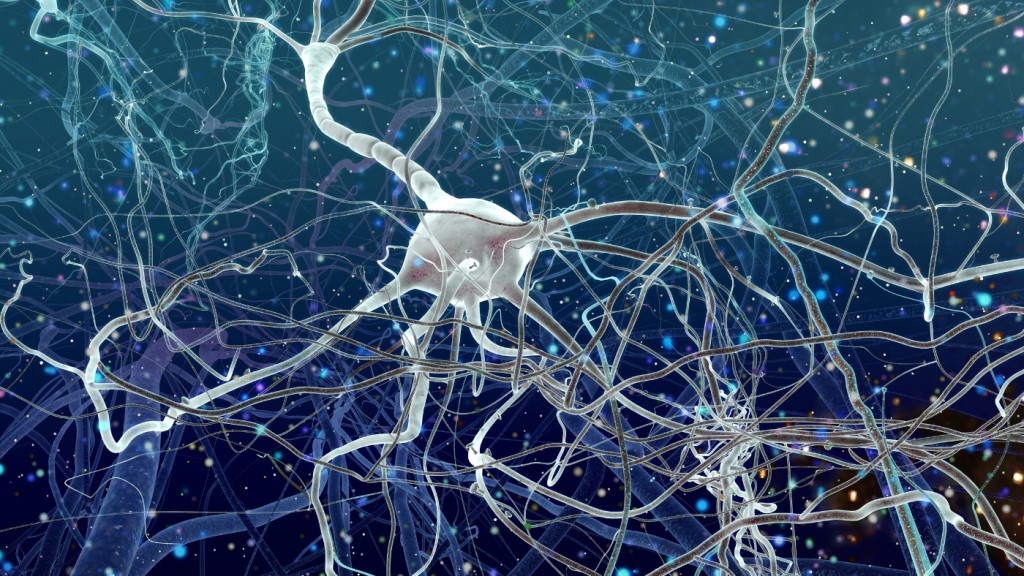 Az agyban lévő idegsejtek bonyolult hálózatot alkotnak. Kép: canva