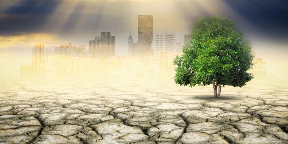 202408_kutatashoz_foto