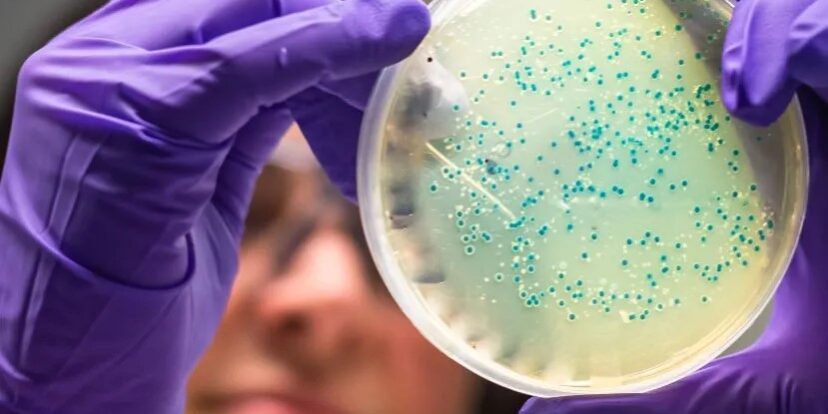 20240909_magazin_mikrobium_01_nyito