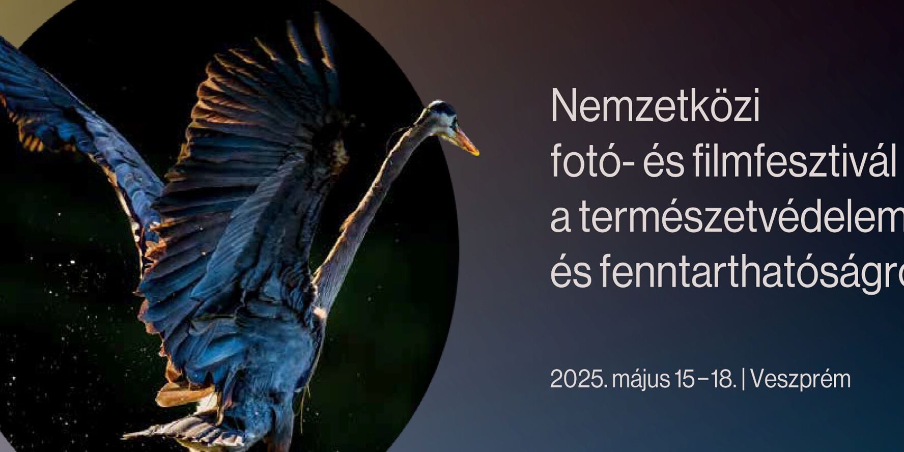 20250122_interjuhoz_Planet_Lens_fbook_cover_v5
