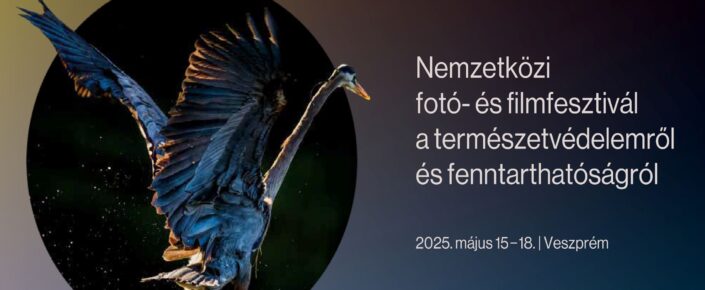 20250122_interjuhoz_Planet_Lens_fbook_cover_v5