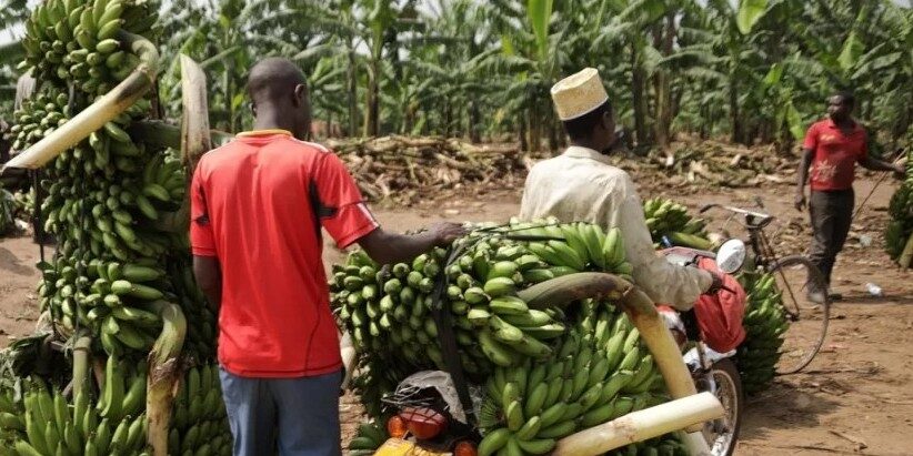 20250324_magazin_01_nyito