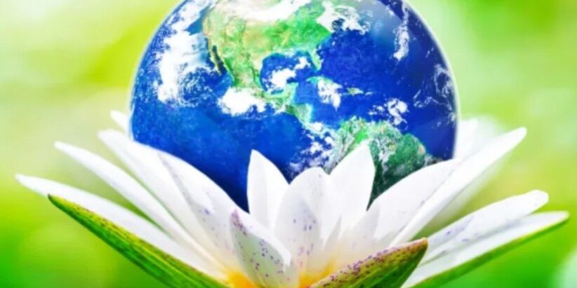 20250414_temahetnagykovetek