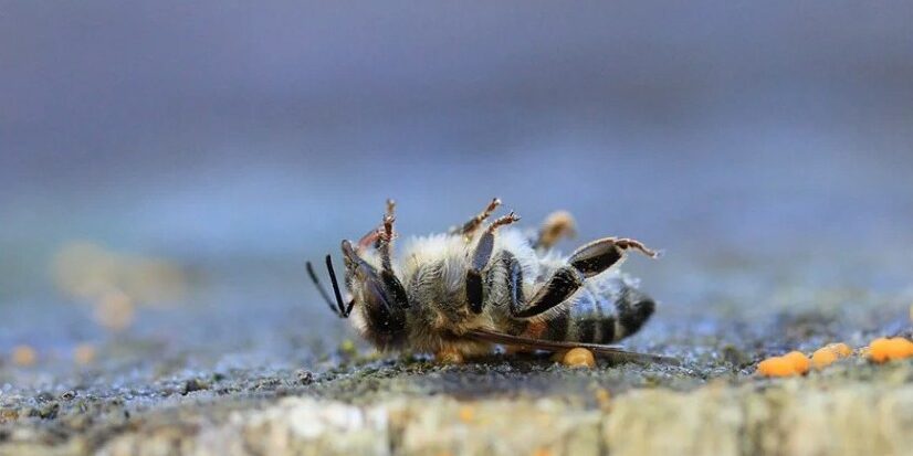 20250602_magazin_01_nyito