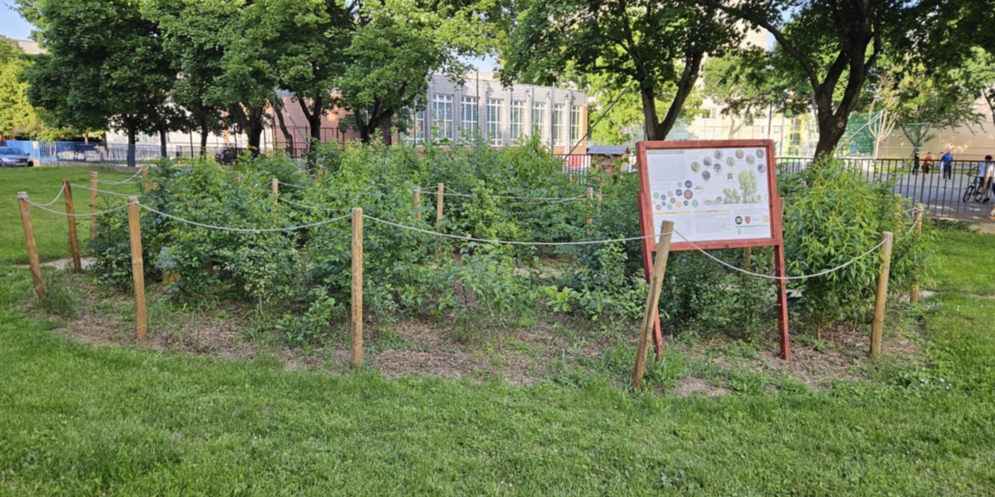 20250602_miyawaki_egyeves_03