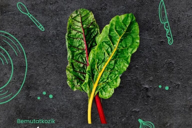 20250616_magazin_01_nyito