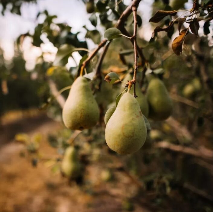 20250825_magazin_01_nyito