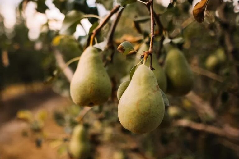 20250825_magazin_01_nyito