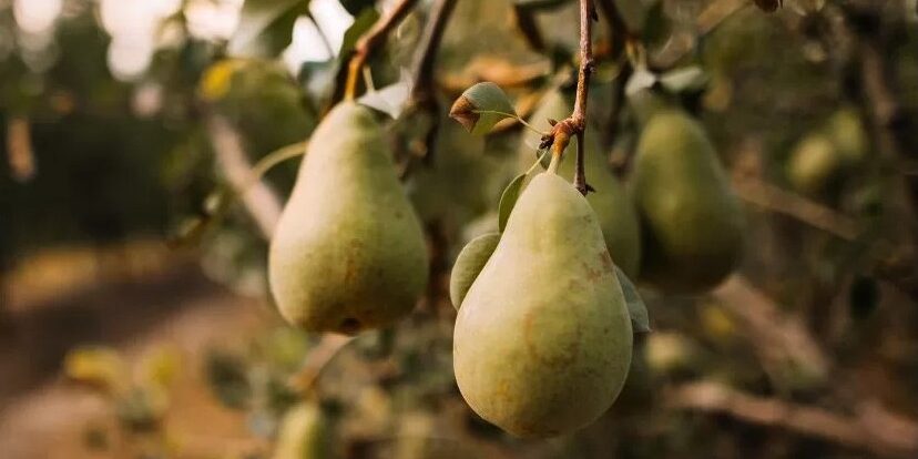 20250825_magazin_01_nyito