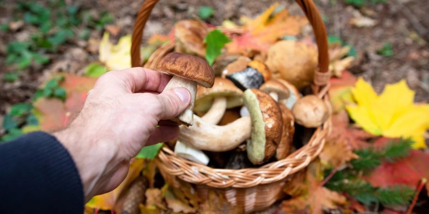 20251006_magazin_01nyito