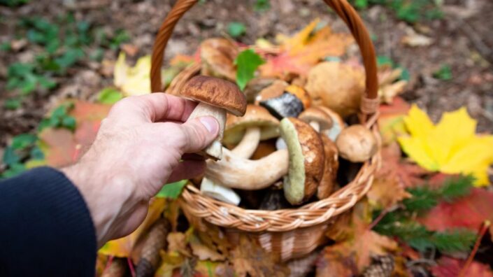 20251006_magazin_01nyito