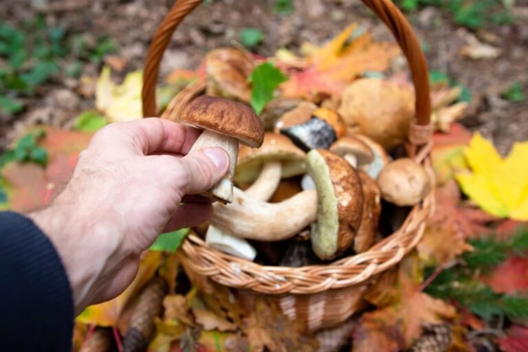 20251006_magazin_01nyito