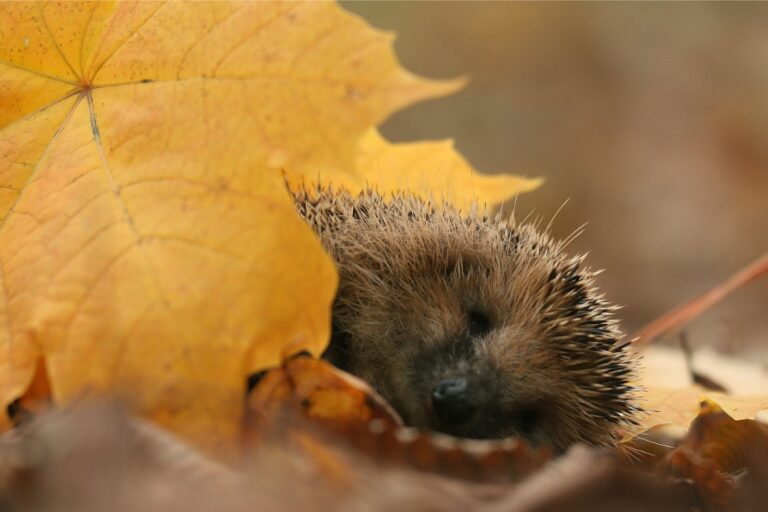 20251020_magazin_01_nyito