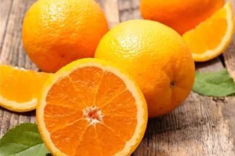 20260126_magazin_01nyito