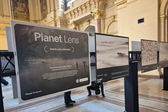 20260202_kiallitas_keletipu_05