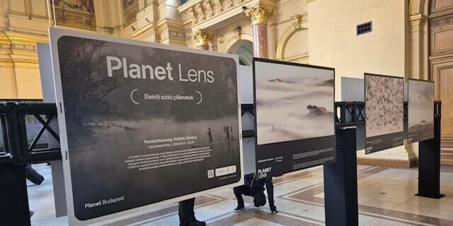 20260202_kiallitas_keletipu_05