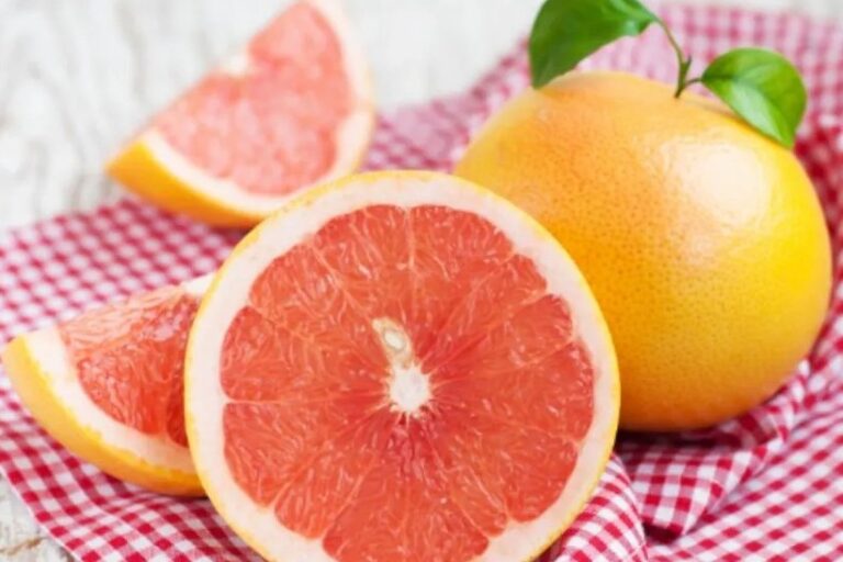 20260209_programpentek_01